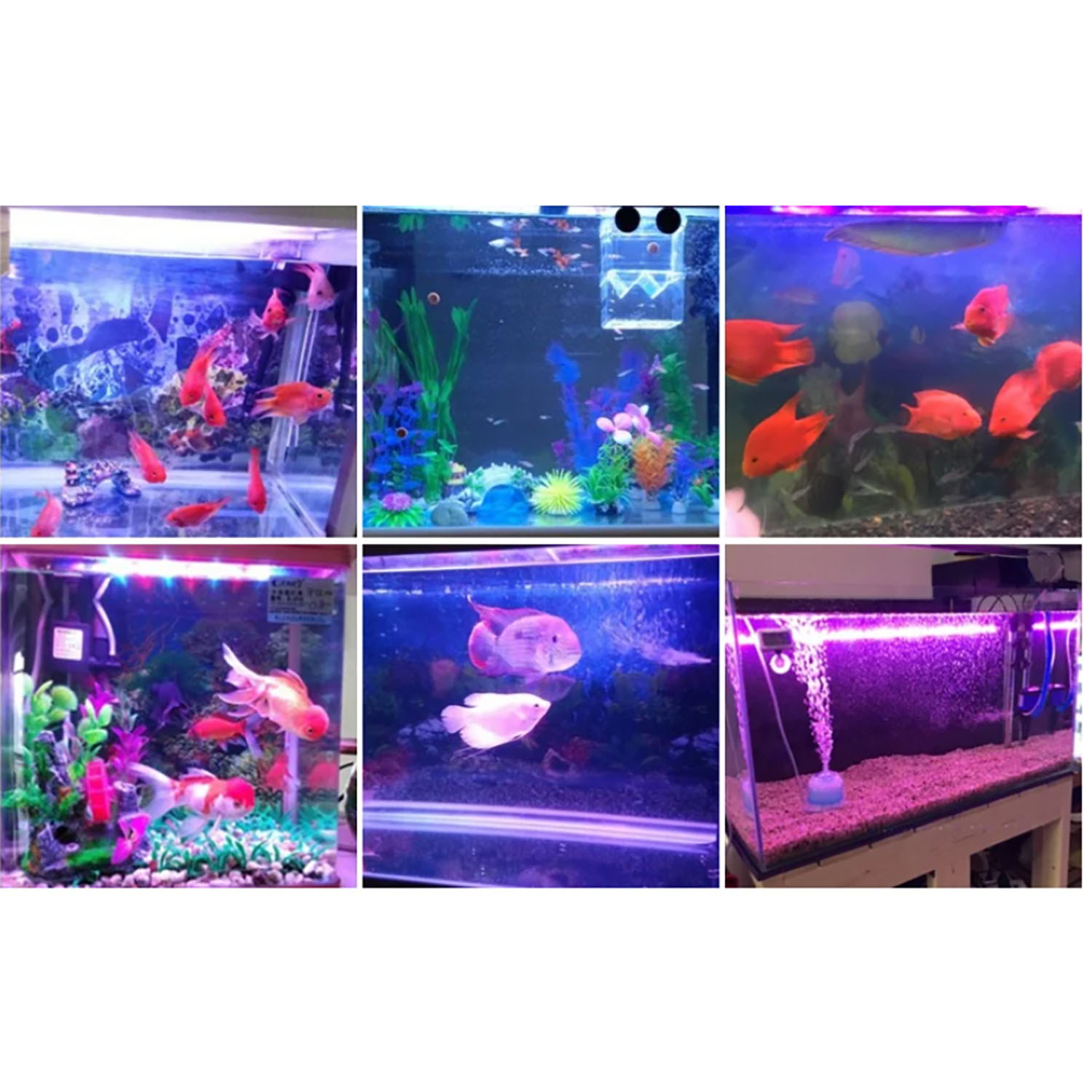 Marine Aquarium Uv - Iluminação LED para aquário marinho multichip